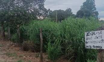 Imagem 3: Lote no povoado de vila nova próximo a Mambaí Goiás