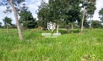 Imagem 6: FAZENDA NA REGIÃO DE SÃO FRANCISCO DE 1000 HECTARES PARA PECUARIA NORTE DE MINAS