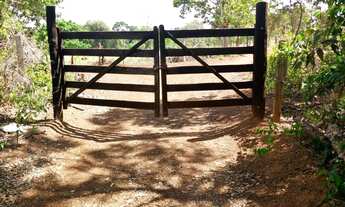 Imagem 3: Chácaras próximo a Anápolis