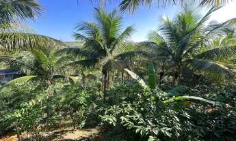 Imagem 3: CHÁCARA À VENDA A POUCOS QUILÔMETROS DA PRAIA DO MORRO COM CASA EM CONSTRUÇÃO. TERRENO COM