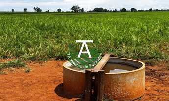 Imagem 7: Fazenda de 54 alq em Itapirapuã-GO