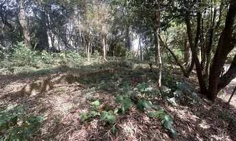 Imagem 4: Terreno à venda, 520 m² por R$ 320.000,00 - Nova Fazendinha - Carapicuíba/SP