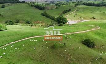 Imagem 4: Fazenda 191 alqueires ( 924 hectares) ipameri -GO