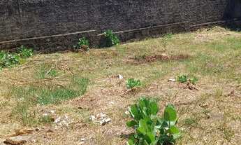 Imagem 7: PRAIA DE PANAQUATIRA: Casa a venda a 600m da beira da praia - Ilha de São Luís-Ma