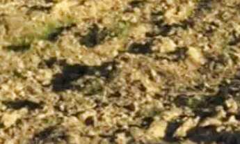 Imagem 5: Lotes residenciais com escritura em Araçoiaba da Serra - SP