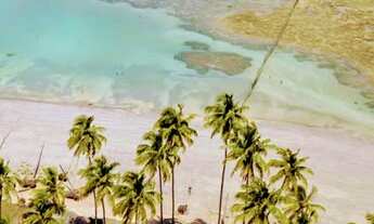 Imagem 5: Carnaval Casa para aluguel por temporada Hibiscus - Maceió - AL