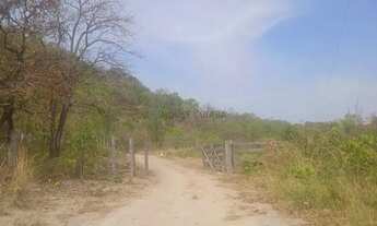 Imagem 2: VENDO Uma fazenda com 150 hectares próximo das águas quentes MT