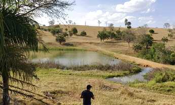 Imagem 6: Fazenda 275 Alqueires - Cultura