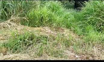 Imagem 6: Lote Residencial no Veiga Jardim Grande Oportunidade!