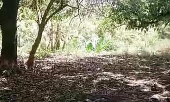 Imagem 5: Terreno 583m² em Goiânia - Ideal para Casa ou Chácara Urbana, com Córrego nos