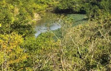 Imagem 4: Ágio de lote em condomínio de chácara