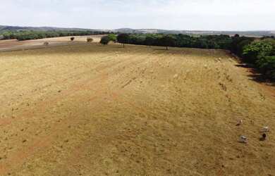 Imagem 4: 2 alqueires 50 km de Goiânia 40% formado 60% mata nativa