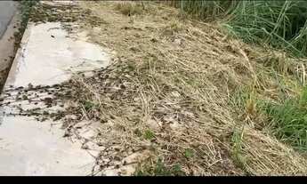 Imagem 4: Lote Residencial no Veiga Jardim Grande Oportunidade!