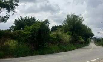 Imagem 6: Chácara em Reforma Agrária Valinhos, SP