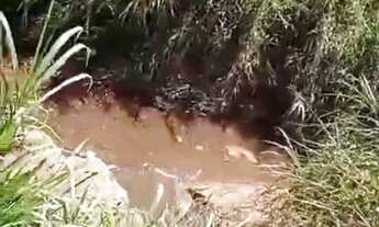 Imagem 3: Terreno 583m² em Goiânia - Ideal para Casa ou Chácara Urbana, com Córrego nos