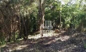 Imagem 3: Terreno à venda, 950 m² por R$ 290.000,00 - Itaipu - Niterói/RJ