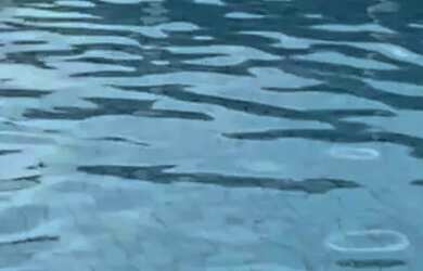 Imagem 5: Casa à venda no SOL MARINA , BARRA DO JACUIPE, Camaçari, BA