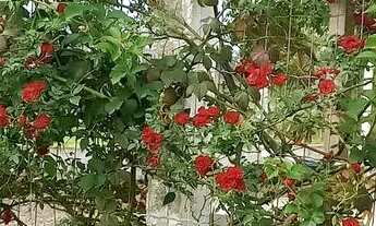 Imagem 2: Vendo essa casa na forquilhinha