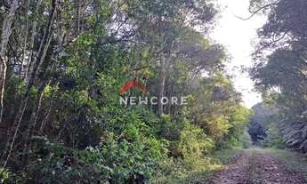 Imagem 4: Lote em rua colinas - Colinas - São Francisco de Paula/RS