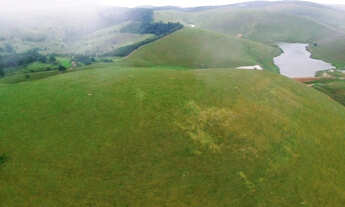 Imagem 6: Faz. Zona da Mata - a 45 km de Garanhuns-PE