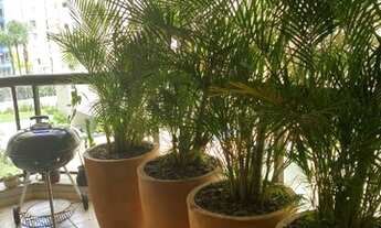 Imagem: Apartamento - Brooklin - 3 Dms 2 Suítes