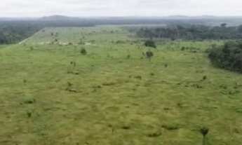 Imagem 2: Fazenda 396 alqueires Alto Paraíso