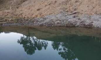 Imagem 4: Sítio - Bom Retiro SC