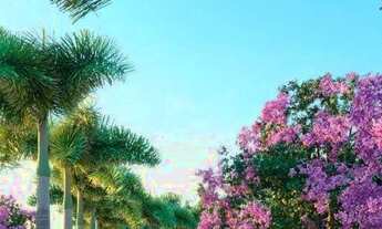 Imagem 4: Terreno à venda em condominio fechado alto padrão, 396 m², nascente, por R$ 360.000