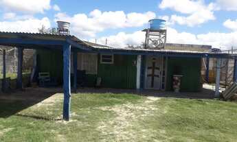 Imagem 2: IMPERDÍVEL EM MAGISTÉRIO