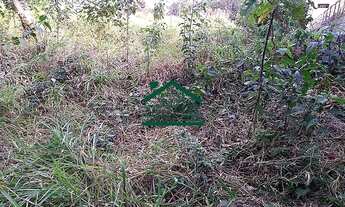 Imagem 5: ÓTIMO TERRENO LEVE ACLIVE 20 X 50,5M 1010M² - JARDIM SÃO JORGE - ARUJÁ/SP