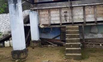 Imagem 5: Fazenda 16 hectares