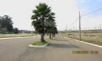 Imagem 5: MARIALVA - LOTEAMENTO/CONDOMÍNIO - MANDAÇAIA