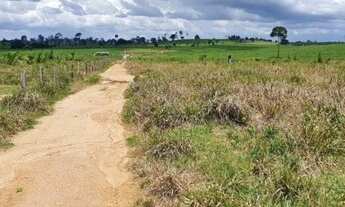 Imagem 6: Fazenda com 229 alqueires Alto Paraiso