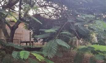 Imagem 4: Sítio com casa simples em Águas claras, somente 1 km do asfalto