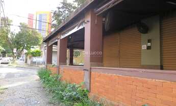 Imagem 6: Casa - Cambuí - Campinas