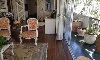 Imagem: MOEMA PASSAROS FORA DA ROTA DE AVIÕES