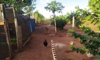 Imagem 6: Chácara a venda , vila rural de Iguaraçu!!