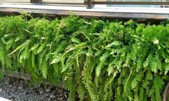 Imagem 6: Flat Mar alto padrão