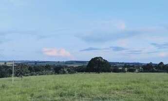 Imagem 3: Fazenda localizada em Munícipio de Cromínia de Goiás, 65 Quilômetros de Goiânia