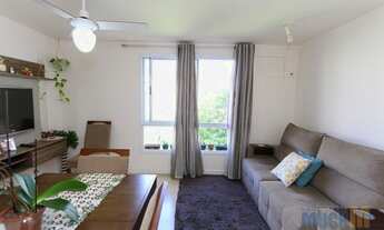 Imagem 2: Canoas - Padrão - Mato Grande