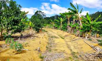 Imagem 3: Sítio em Domingos Martins com 100.000m²