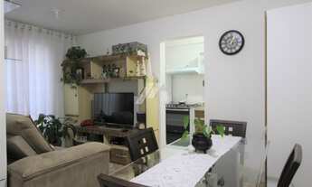 Imagem 7: CURITIBA - Padrão - Xaxim