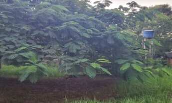 Imagem 6: Sítio com casa simples em Águas claras, somente 1 km do asfalto