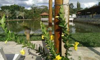 Imagem 4: Chácara para Venda - Zona Rural, Corumbá de Goiás