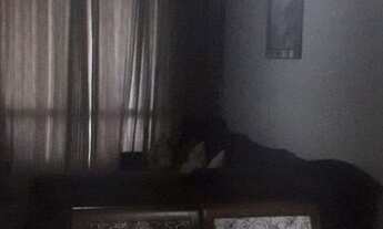 Imagem 3: APARTAMENTO - JARDIM AVELINO - SP