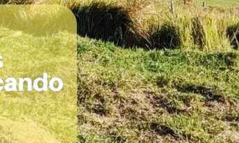 Imagem: Ag1- Lote/Terreno para venda possui 500