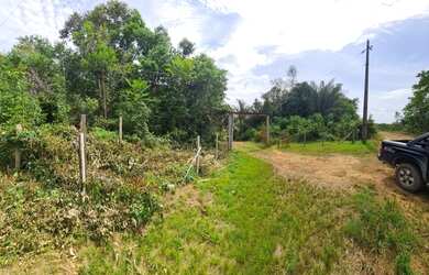 Imagem 4: Sítio pra Venda no Iranduba - Estrada do Caldeirão