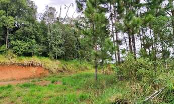 Imagem 5: TERRENO TOP Terreno / lote com venda por R$1.300.000