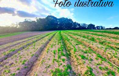 Imagem 7: ESTÁ ESPERADOO QUE