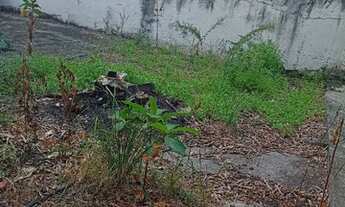 Imagem 2: Rua jaguara ao lado colégio Cláudio gans 2 casas parcelo pagamento